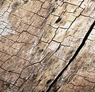 LANDS Dark Loop Natural Texture (Wood) Commercial Carpet Tiles